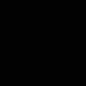 Meet your Posher, Cassidy